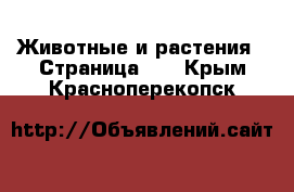  Животные и растения - Страница 27 . Крым,Красноперекопск